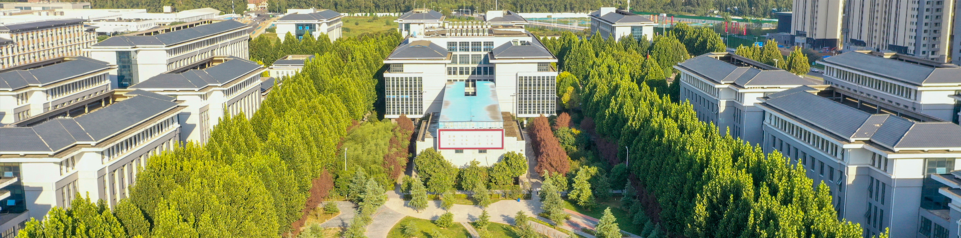 beat365体育官网平台